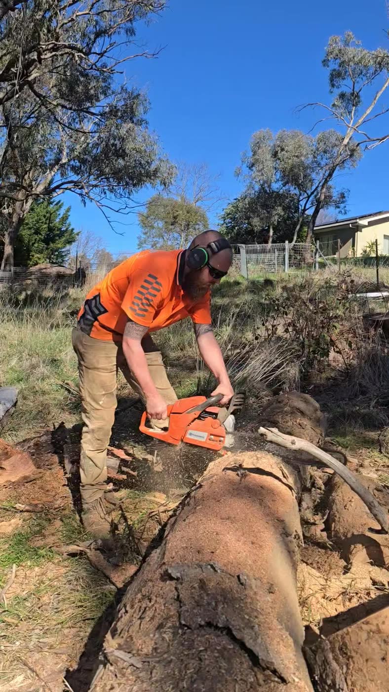 Dylan Holloway in hi-vis using a chainsaw on a felled tree