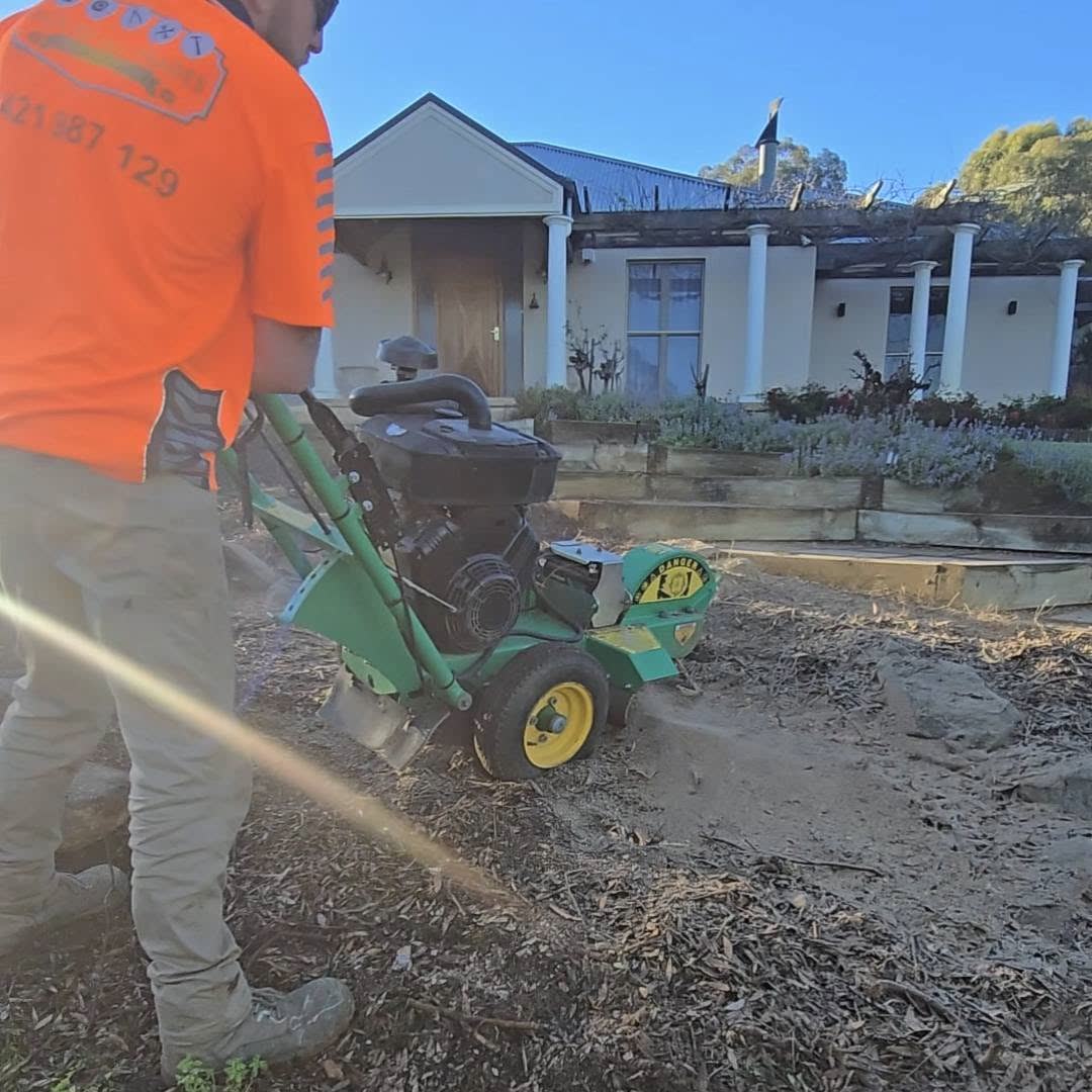 Worker in hi-vis operating a stump grinder in a front yard