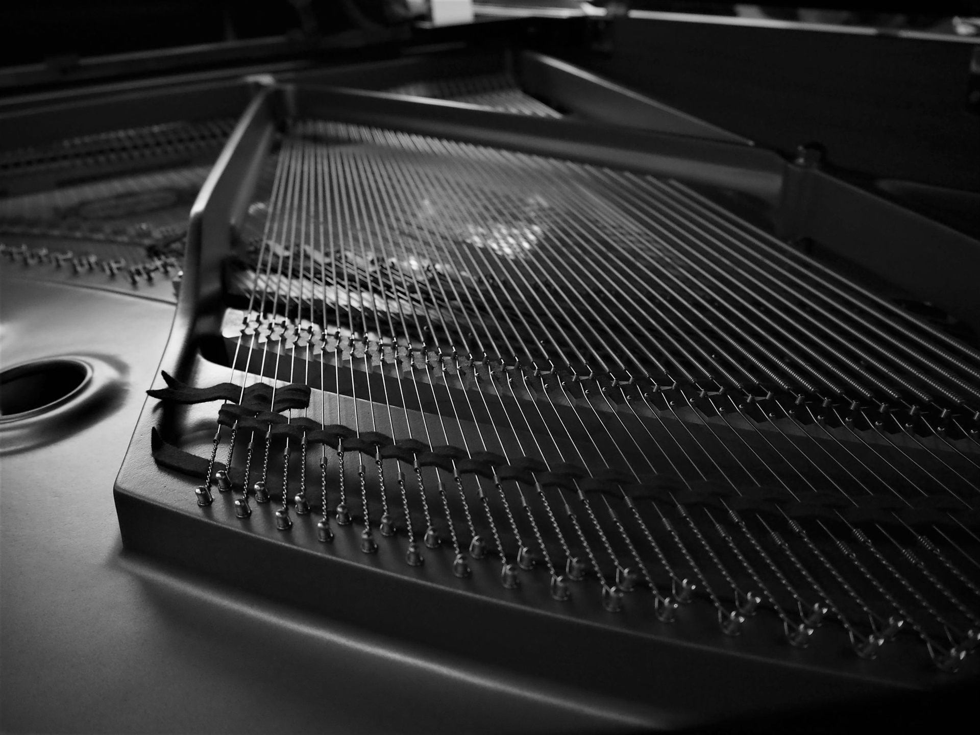 The strings and cast plate inside a grand piano, in black and white