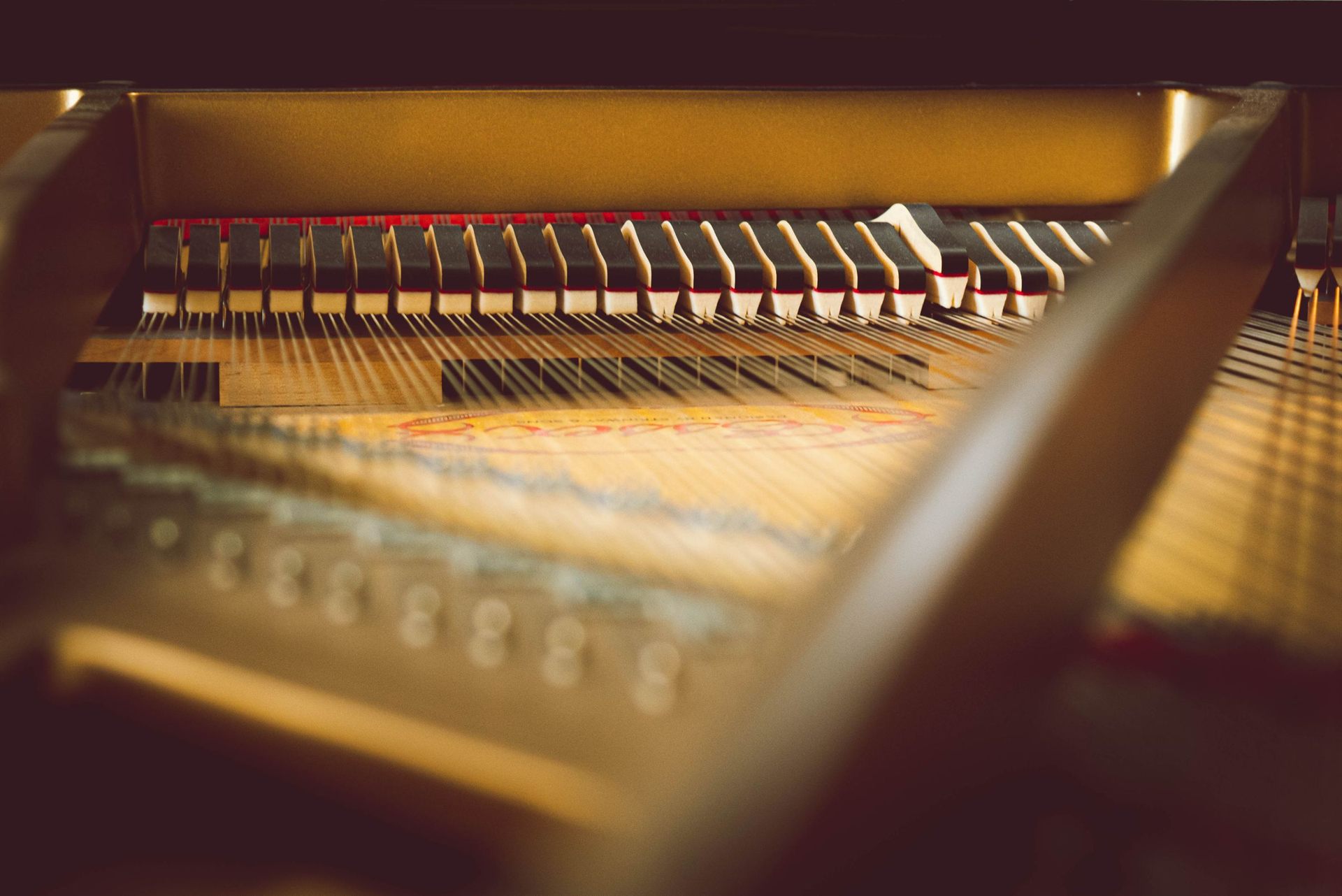 Inside a grand piano: strings, dampers and the cast plate in warm light