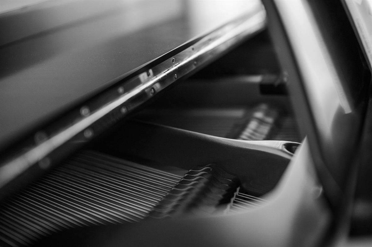 The strings and plate of a grand piano, in black and white